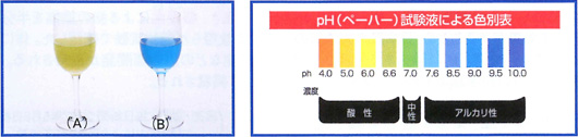 pH（ペーハー）試験液測定の結果